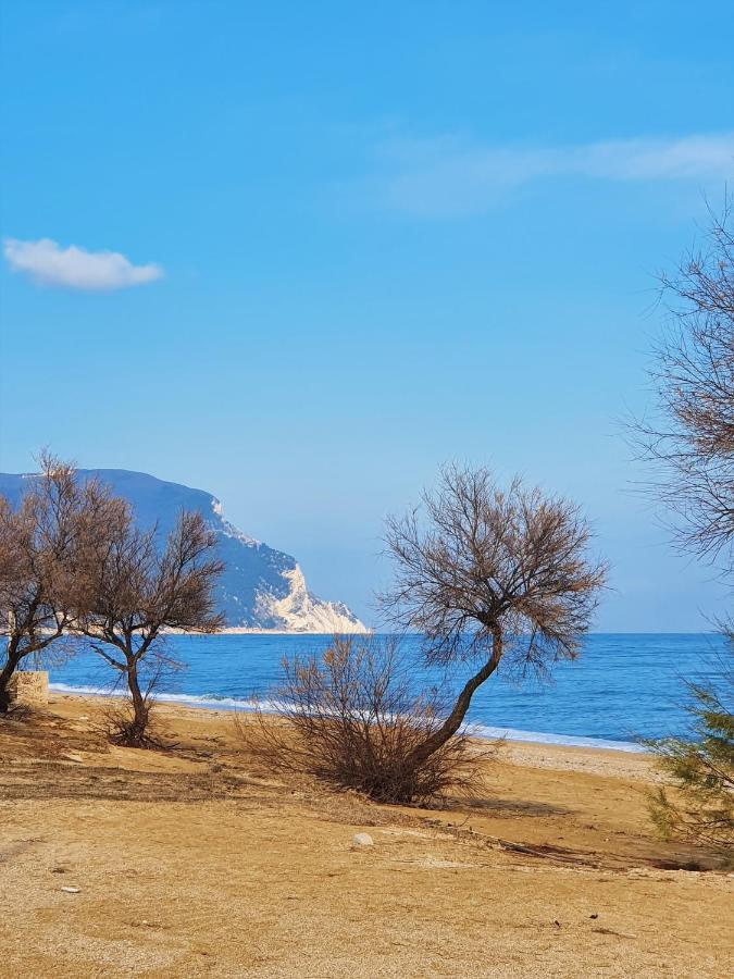 La Finestra Sul Conero Apartments Numana Bagian luar foto